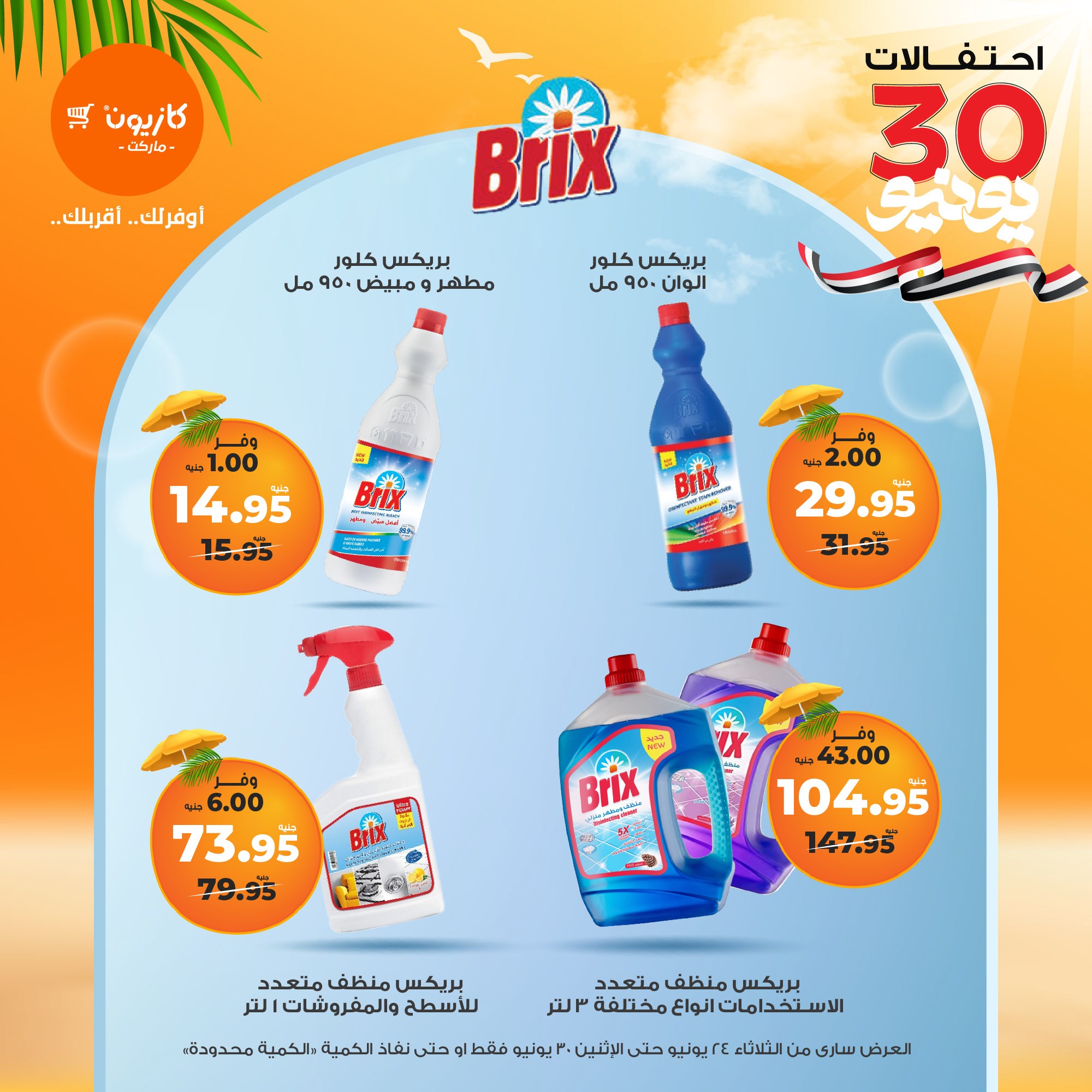 kazyon offers from 23jun to 2jun 2025 عروض كازيون من 23 يونيو حتى 2 يونيو 2025 صفحة رقم 48